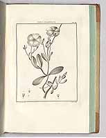  no thumbnail available