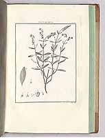  no thumbnail available