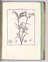  no thumbnail available