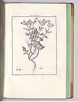  no thumbnail available