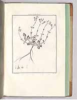  no thumbnail available