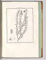  no thumbnail available