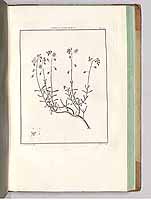  no thumbnail available