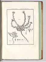  no thumbnail available