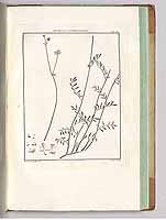  no thumbnail available