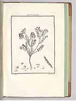  no thumbnail available