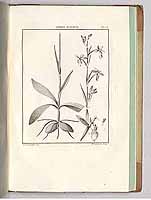  no thumbnail available