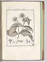  no thumbnail available