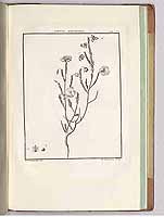  no thumbnail available