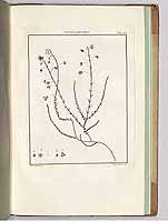  no thumbnail available