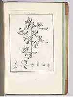  no thumbnail available