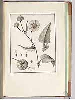  no thumbnail available