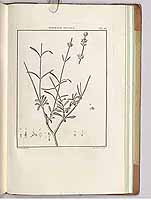  no thumbnail available