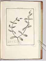  no thumbnail available