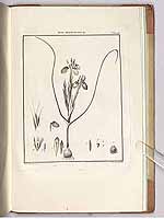  no thumbnail available