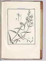  no thumbnail available