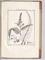  no thumbnail available