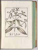  no thumbnail available