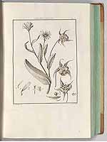  no thumbnail available