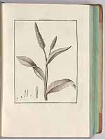  no thumbnail available