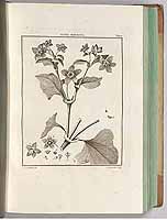  no thumbnail available