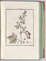  no thumbnail available