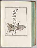  no thumbnail available