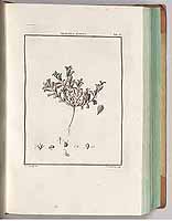  no thumbnail available