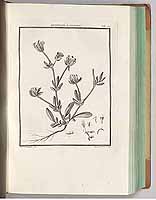  no thumbnail available