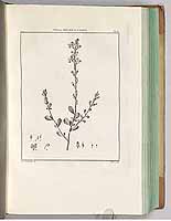  no thumbnail available