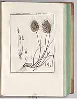  no thumbnail available