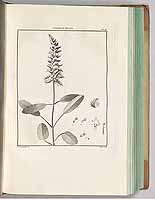  no thumbnail available