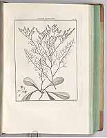  no thumbnail available