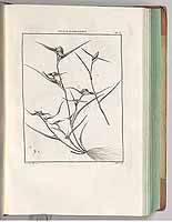  no thumbnail available