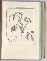  no thumbnail available