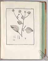  no thumbnail available