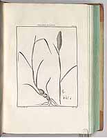  no thumbnail available