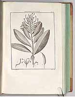  no thumbnail available