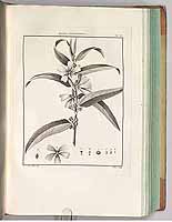  no thumbnail available