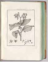  no thumbnail available