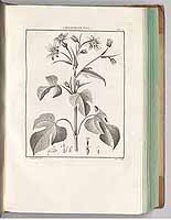  no thumbnail available