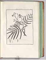  no thumbnail available