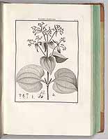  no thumbnail available