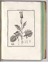  no thumbnail available