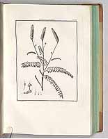  no thumbnail available