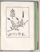  no thumbnail available