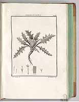  no thumbnail available