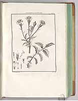  no thumbnail available