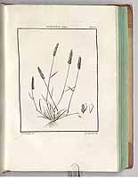  no thumbnail available