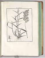  no thumbnail available